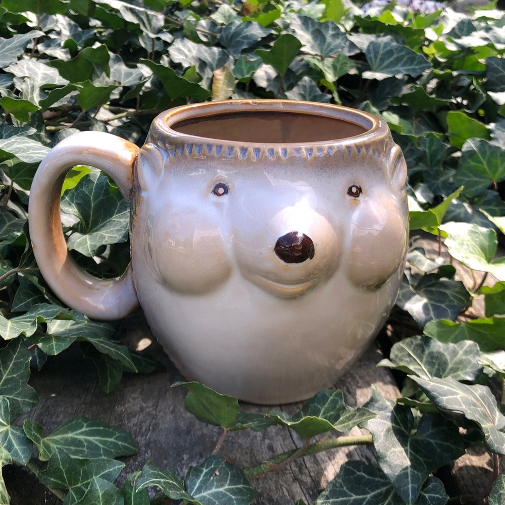 3D Coffee Cup Hedgehog Porcupine Tea Mug Gibson Home